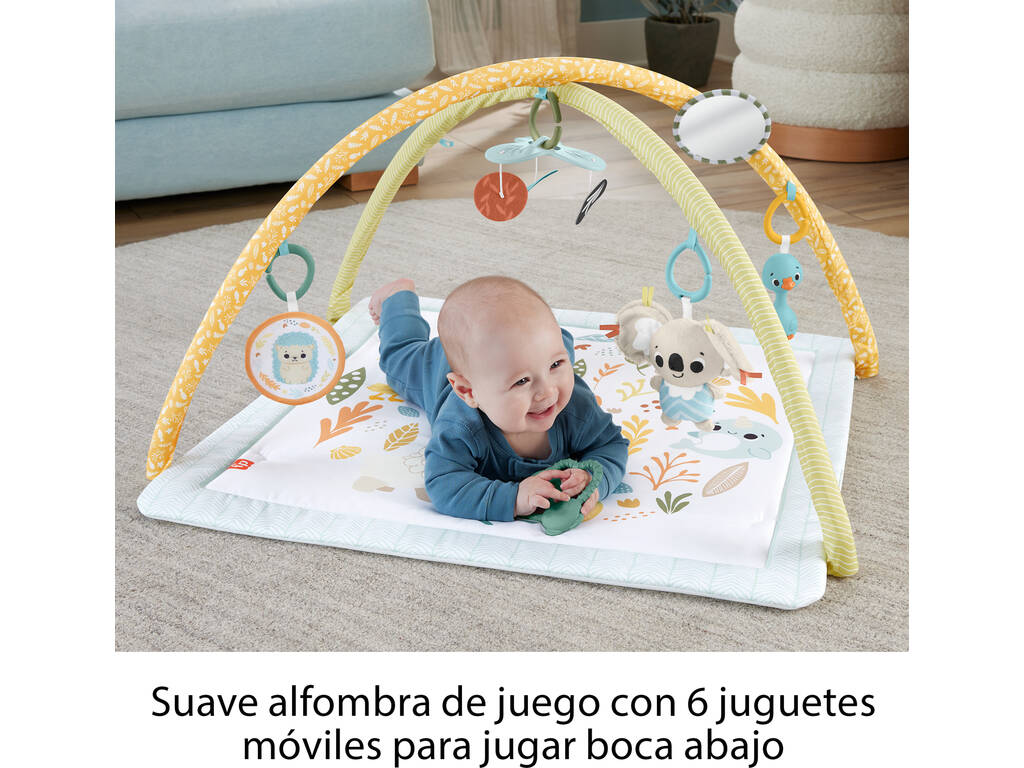 Fisher Price Ginásio infantil Desperte Seus Sentidos Mattel HRB15