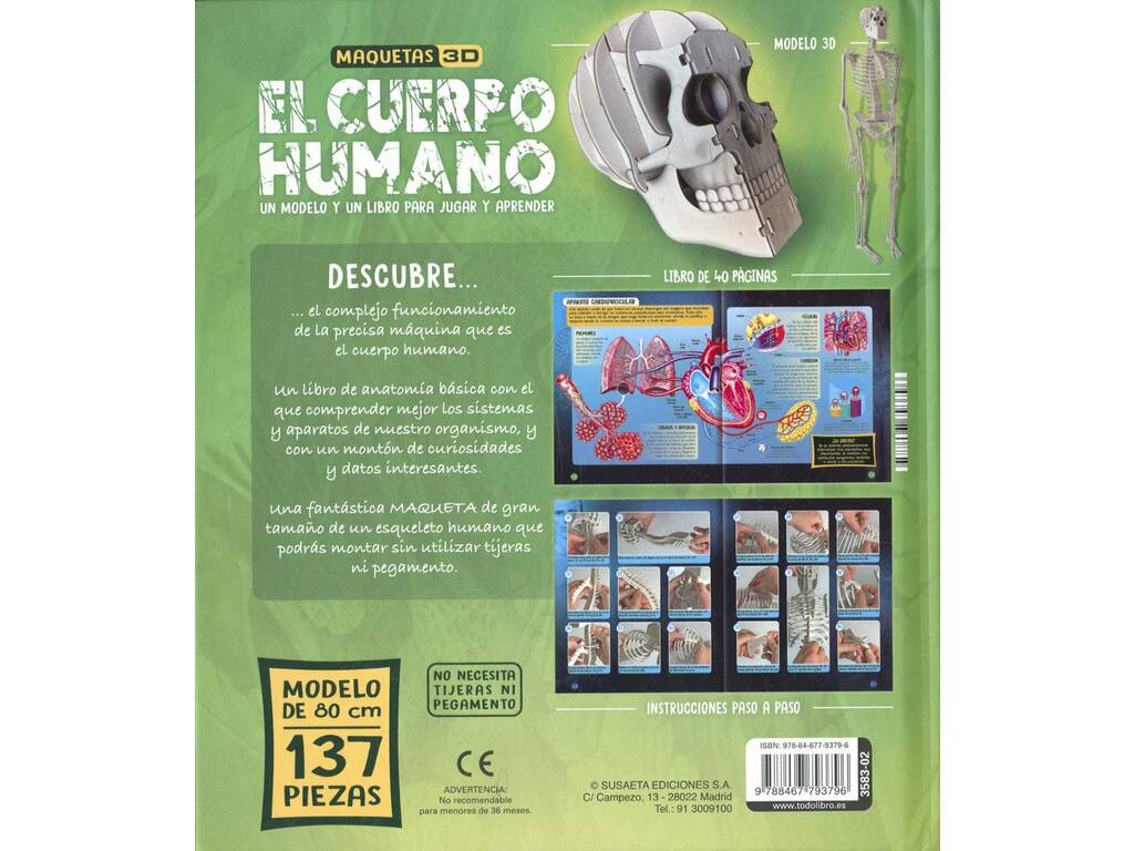 Maquetas 3D Cuerpo Humano S3583002