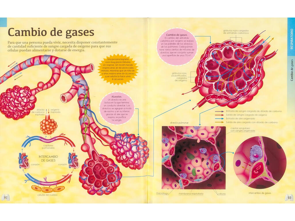 Libro Fábulas y Cuentos Susaeta Ediciones